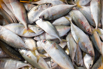 Baskets with a lot of fishes on Long Hai beach.