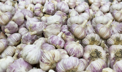 Fresh garlic bunch stacked in plenty