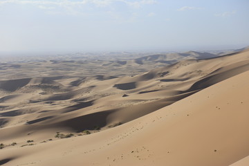 and dunes in Gobi desert. South of Mongolia