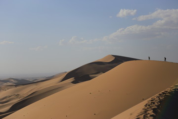 Fototapeta na wymiar and dunes in Gobi desert. South of Mongolia