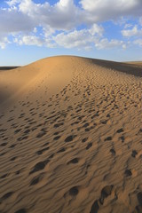 and dunes in Gobi desert. South of Mongolia