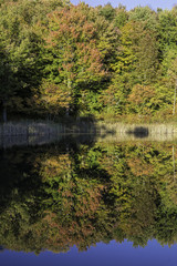 Fototapeta na wymiar Snake Pond Autumn Reflections