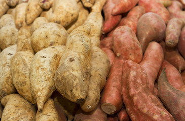 Sweet potato vegetable 