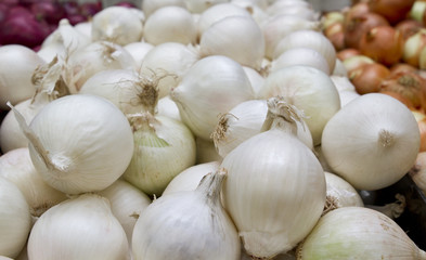 white onion isolated on white background