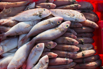 The basket of fish on Long Hai Beach