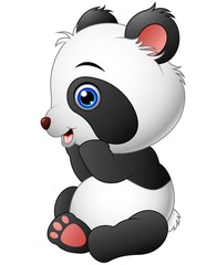Cute baby panda sitting 