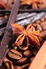 Closeup of anise, vanilla, cinnamon sticks and coffee grains, ingredients for cooking or baking