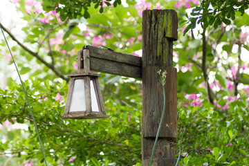 wooden lamp with green tree background