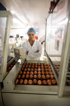 Female staff examining eggs on conveyor belt