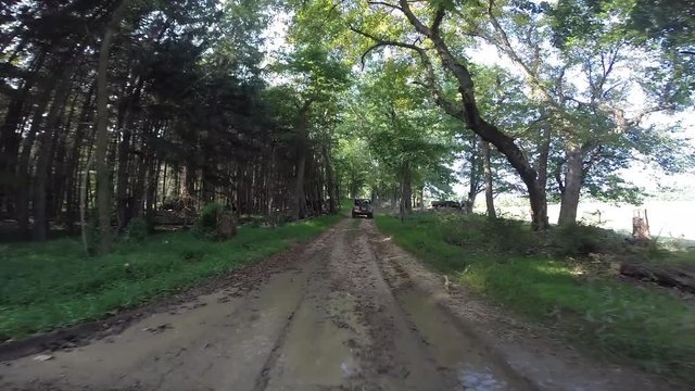 Jeep trails in woods, POV driving through a puddle of mud on a narrow rocky trail.