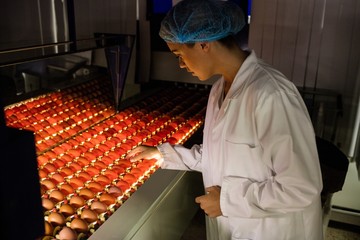 Female staff examining eggs in lighting control quality
