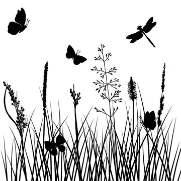 vector silhouettes of grass with butterflies