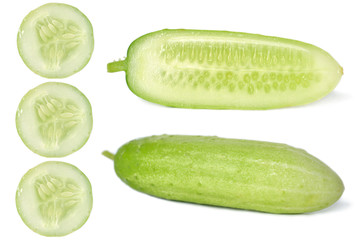 Cucumber,Cucumis sativus, on white background