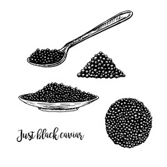Hand drawn set of plate with black caviar.