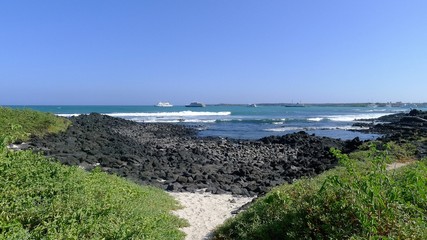 Galapagos, Santa Cruz, Puerto Ayora