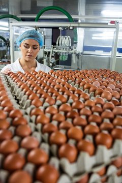 Attentive female staff examine eggs
