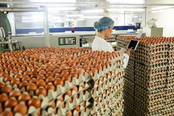 Female staff using digital tablet