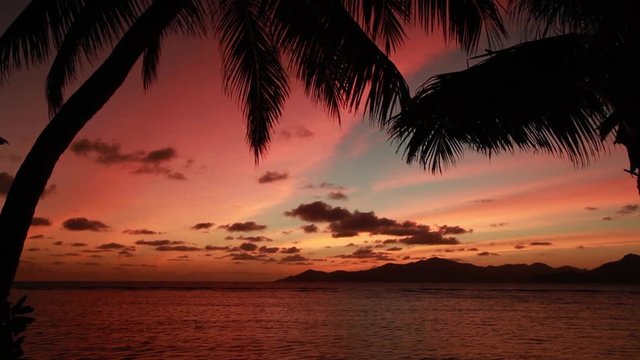 beautiful sunset with palm tree on Seychelles island