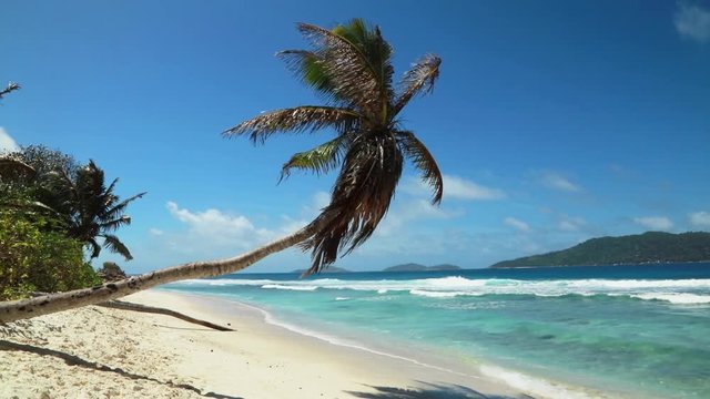 Beautiful view of Seychelles tropical beach on La Digue island.