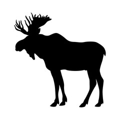 moose elk vector illustration black silhouette