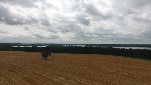 Flight over a harvested field with a lake in the background and cloudy sky
