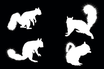 four squirrels silhouettes isolated on black