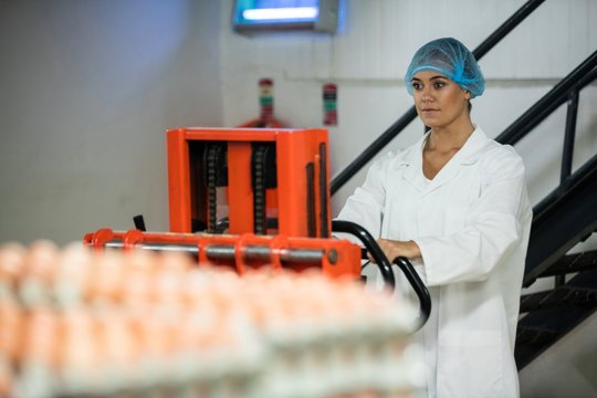 Female staff loading carton of eggs on pallet jack