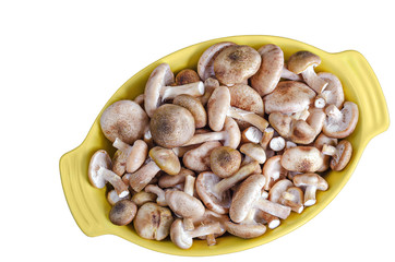 Raw fresh mushrooms in Dutch oven, on a white background