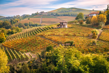 Fototapeta na wymiar Langhe vitigni paesaggio collinare. Vigneti Langhe e Roero Piemonte Italy