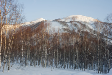 niseko annupuri