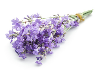 Bunch of lavandula or lavender flowers isolated on white backgro