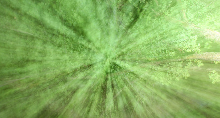 Abstract green background intentionally out of focus