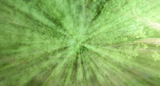 Abstract Green Background Intentionally Out Of Focus