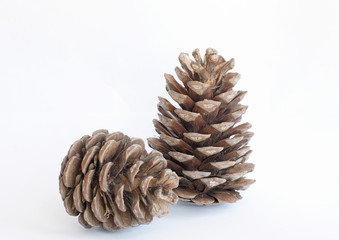 сосновые шишки © vitka888