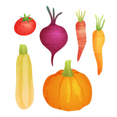 Cute vector vegetable collection on white isolated background. Organic food autumn set with pumpkin, carrot, squash, tomato and beetroot.