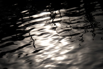Sunlight and grasses reflecting on rippling water