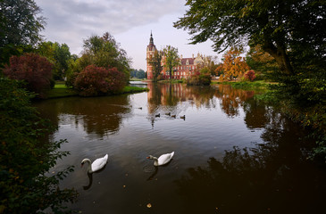 Swans and ducks swimming in the pond in front of the New Castle in the park Muskauer in Germany.