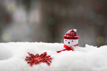 Snowman with snowflake in the snow, decor