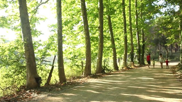 happy family of four walking on rural road on holidays happy relaxed joy natural environment healthy lifestyle father mother childs