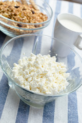 milk, cottage cheese - dairy products