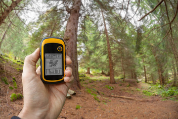 finding the right position in the forest via gps ( blurred background