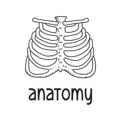 ANATOMY CONCEPT
