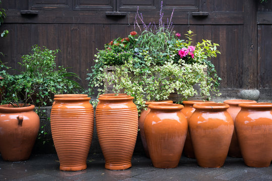 flowers and clay pots in the garden