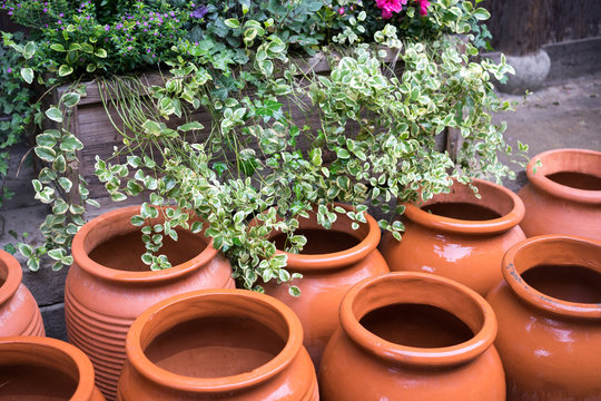 flowers and clay pots in the garden