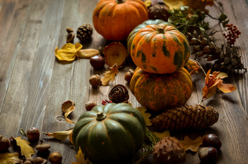 Decorative pumpkins on a wooden background