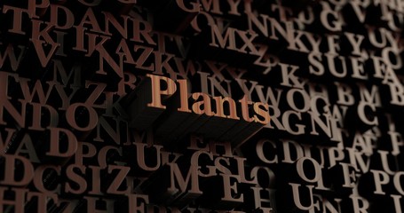 Plants - Wooden 3D rendered letters/message.  Can be used for an online banner ad or a print postcard.