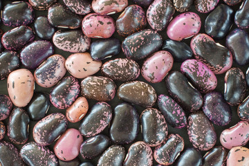 purple bean seeds of different colors on a black background. vegetarian raw food. food color background. bio food