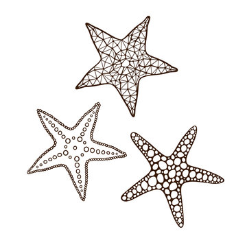 Starfish set 2