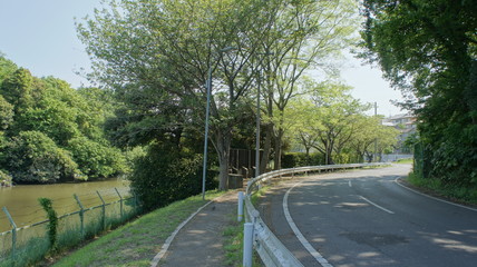 日本の自然風景