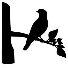 bird on branch vector design